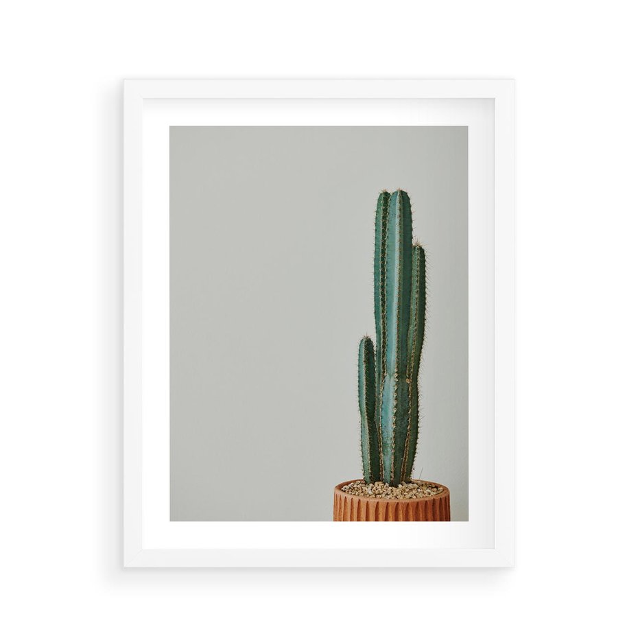 Plakat w ramie 40x50 - Zieleń i Subtelność - kaktusy, liście - rama biała