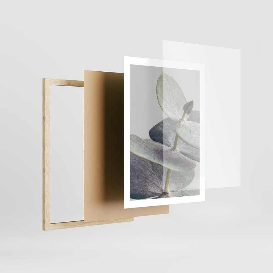 Plakat w ramie 50x70 - Zbliżenie Liści Eukaliptusa - eukaliptus, zbliżenie - rama drewno