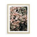 Plakat w ramie 50x70 - Sukulentowa Prostota - sukulenty, zielone liście - rama drewno