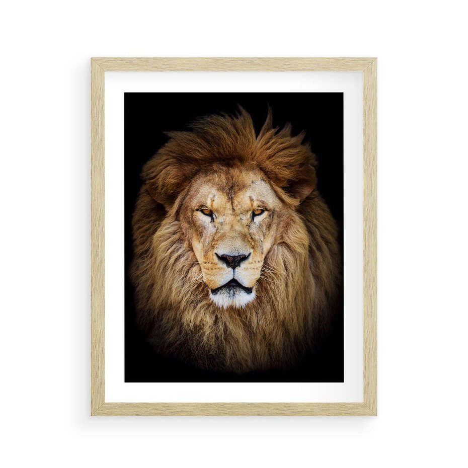 Plakat w ramie 40x50 - Król zwierząt w majestatycznym stylu - lew, król - rama drewno