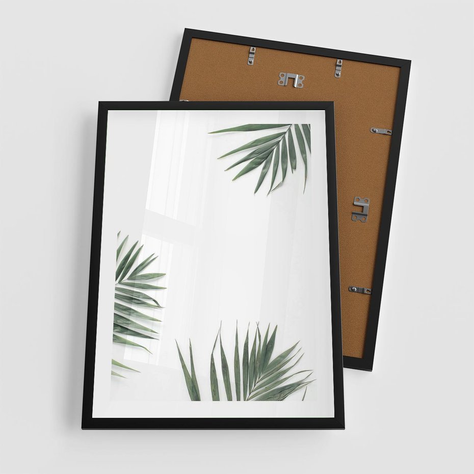Plakat w ramie 50x70 - Liście Palmy na Czystym Tle - liście palmy, białe tło - rama czarna