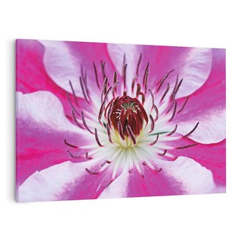 Obraz na płótnie 120x80 - delikatność natur - kwiat, kwiaty