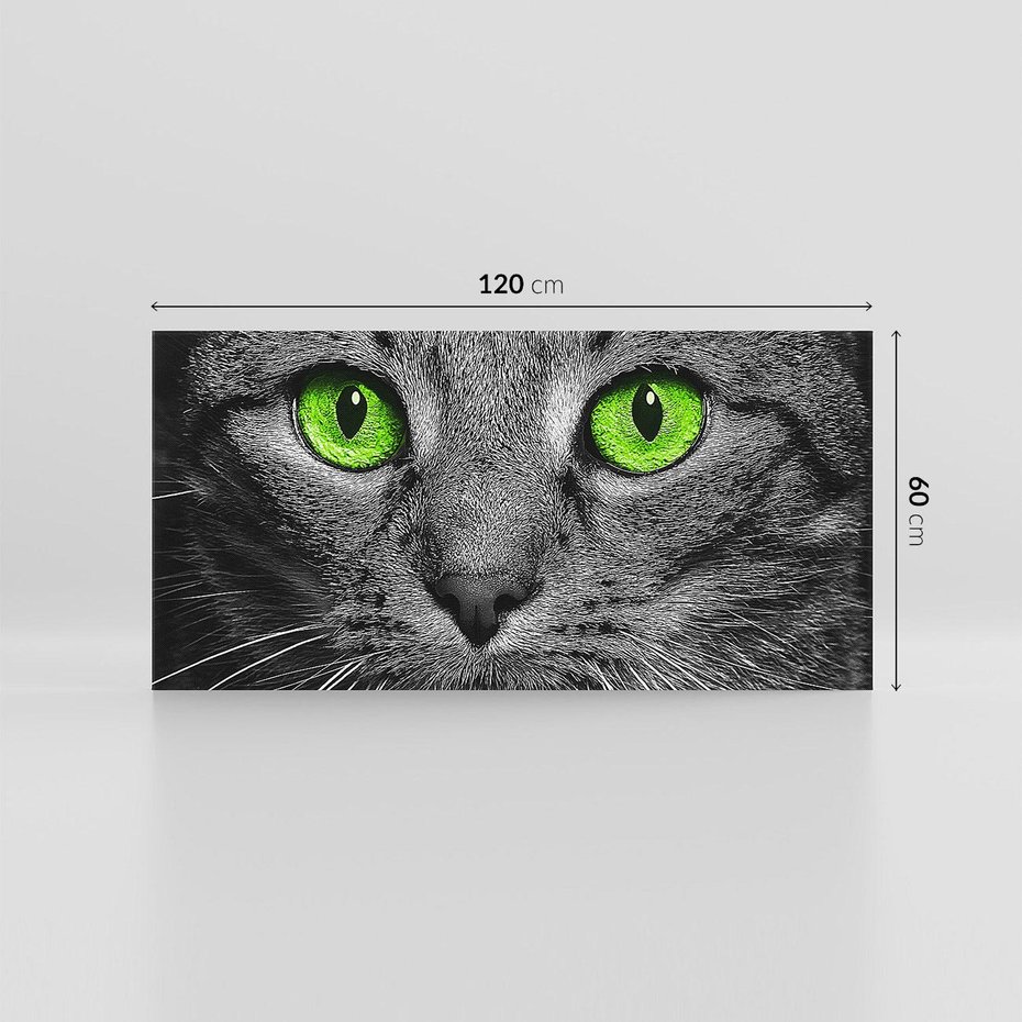 Obraz na płótnie 120x60 - Przestreń nautra doznania - kot, kotek