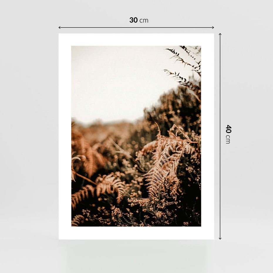 Plakat bez ramy 30x40 - Jesienna Harmonia - suche paprocie, jesienny krajobraz