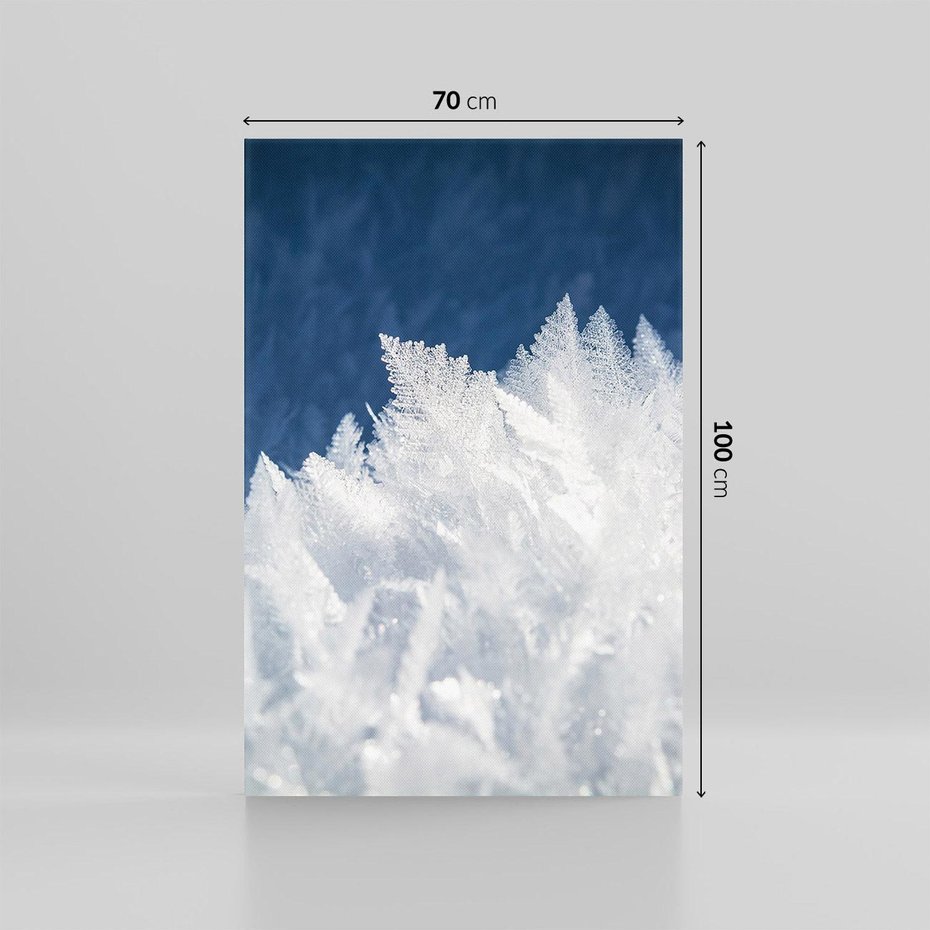 Obraz na płótnie 70x100 - Zimowa magia: Kryształki lodu - zima, kryształki