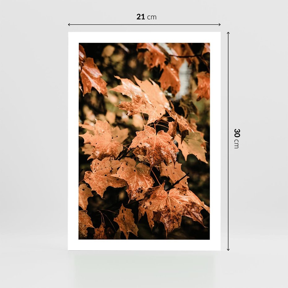 Plakat bez ramy 21x30 - Ciepło Jesieni - jesienne pomarańczowe liśćie, jesień