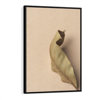 Obraz w ramie 70x100 - Boho suszone liście - suszony, liść - rama czarna
