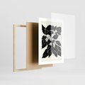Plakat w ramie 30x40 - Ruchome szkicowe odbicia - czarno biała grafika, roślinność - rama drewno