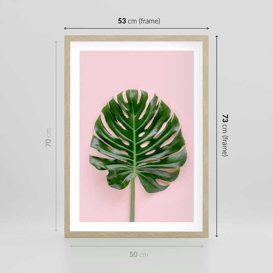 Plakat w ramie 50x70 - Monstera w Różowym Świetle - liść monstery, różowe tło - rama drewno