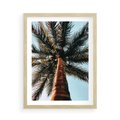 Plakat w ramie 50x70 - Rajskie Inspiracje: Palma na Niebie - palma, na tle nieba - rama drewno