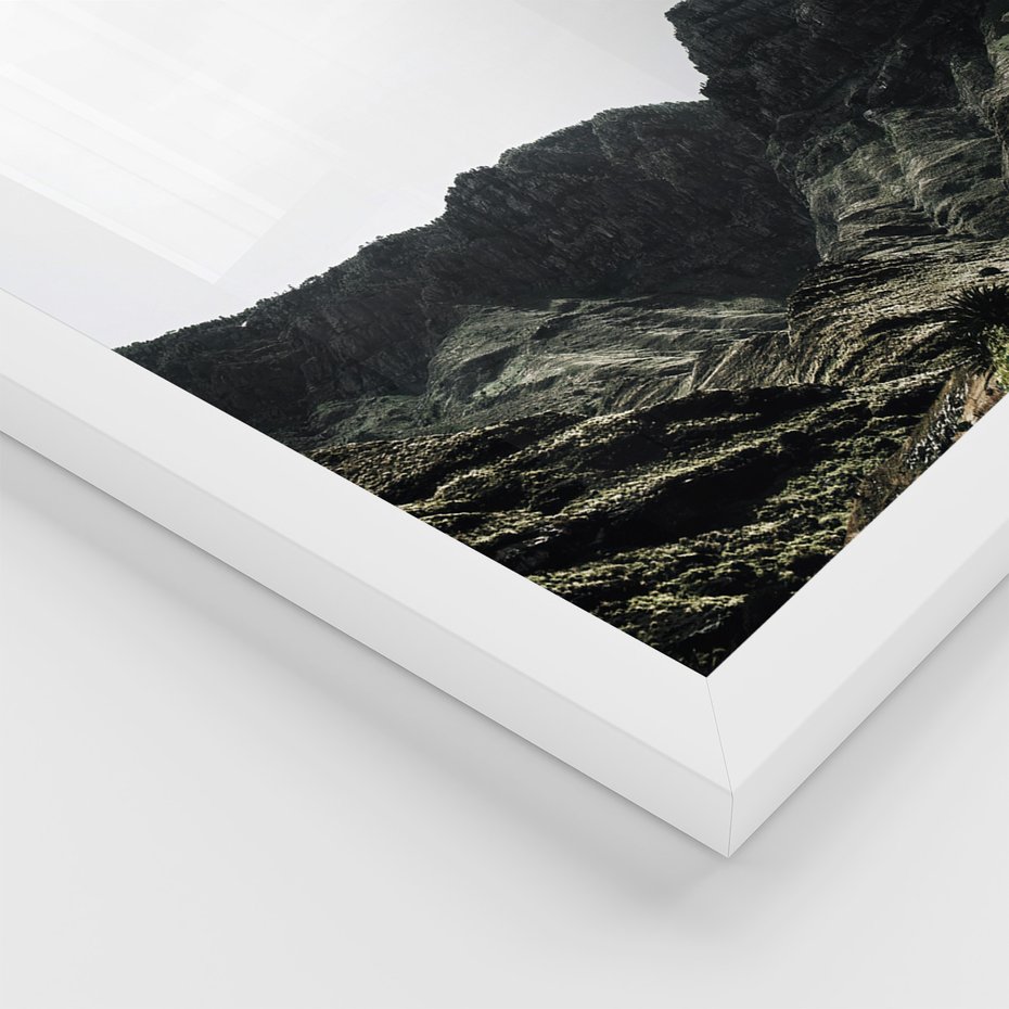 Zestaw obrazy w ramie 40x50 galeria - Pustynia, kaktusy, zieleń, boho - rama biała