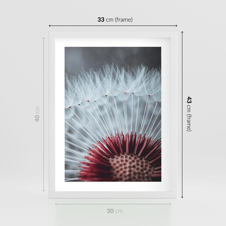 Plakat w ramie 30x40 - Dmuchawiec w Detalu - dmuchawiec, zdjęcie makro - rama biała