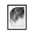 Plakat w ramie 30x40 - Czarno-Biały Kontrast - czarno białe zdjecie, palma - rama czarna