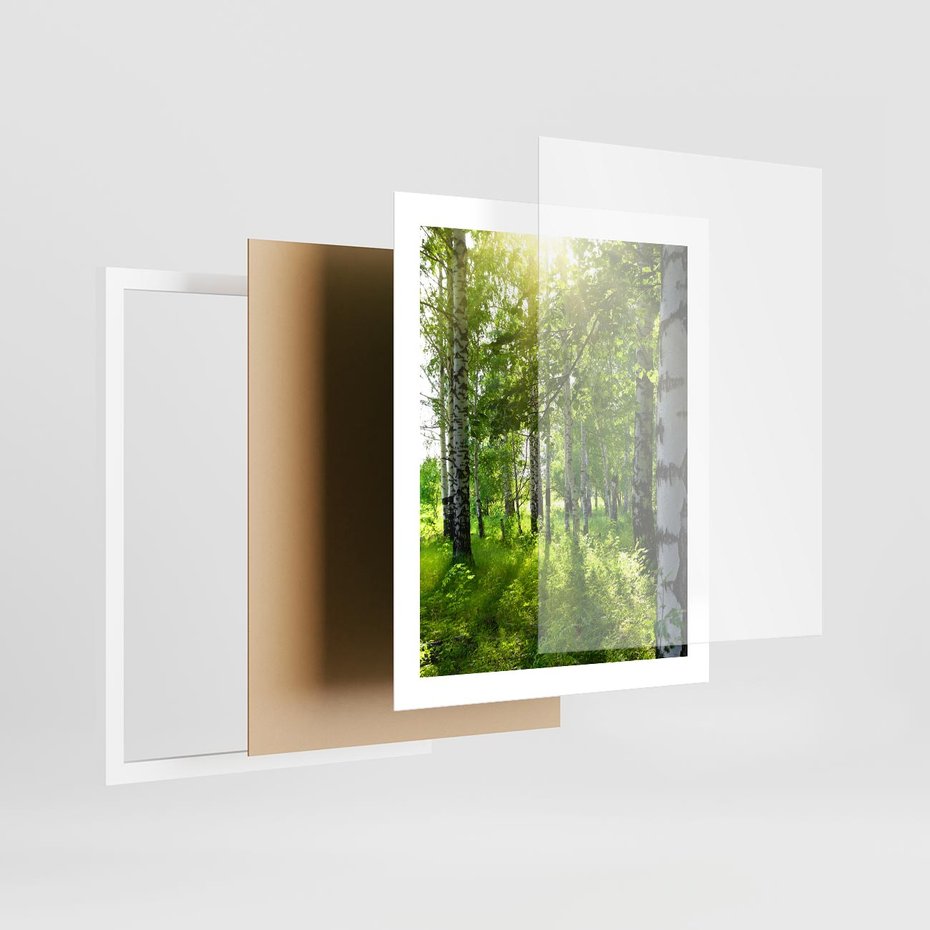 Plakat w ramie 40x50 - Lasowa Księżycowa Noc - las, drzewa - rama biała