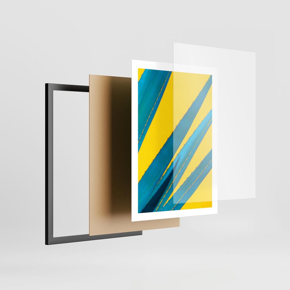 Plakat w ramie 50x70 - Świeżość Natury - aloes, liście - rama czarna