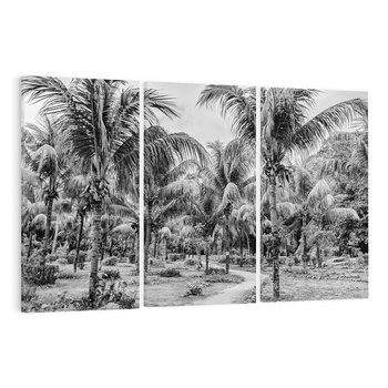 Obraz na płótnie 120x80 - Mroczna Ścieżka Tropików - czarno biała fotografia, ścieżka pośród palm