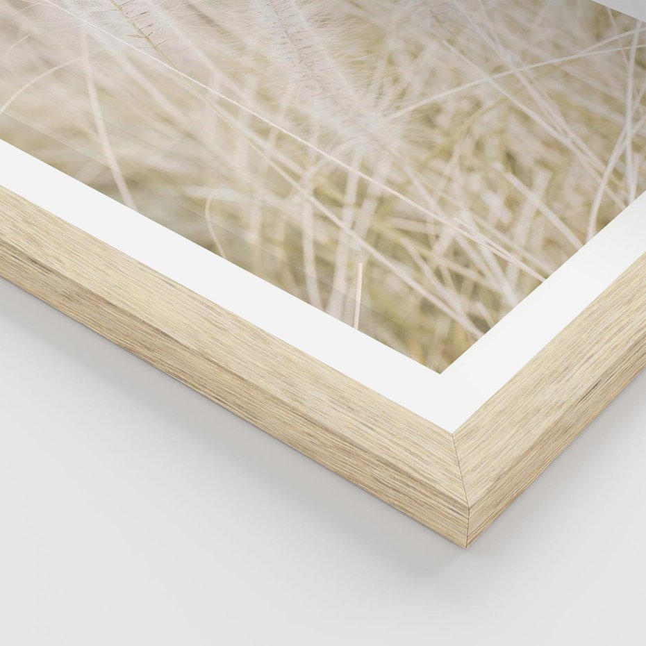 Plakat w ramie 30x40 - Białe Trawy Pampas - suche trawy, białe trawy - rama drewno