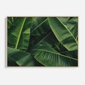 Obraz w ramie 70x50 - Zaklęta roślinna ekspresja - liście bananowca, gęsto ułożone - rama drewno