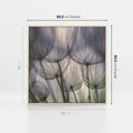 Obraz w ramie 80x80 - Makro dmuchawiec - piękno drobnych detali - dmuchawce, makro - rama drewno