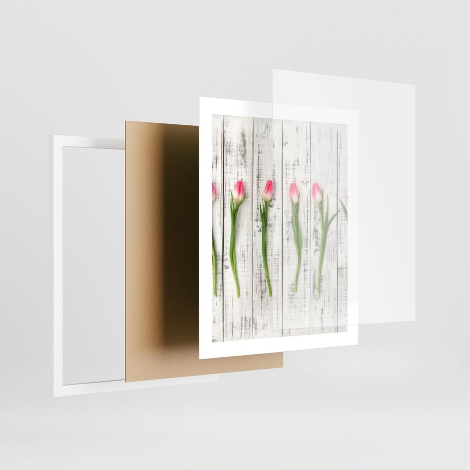 Plakat w ramie 40x50 - Kwintesencja Piękna - kwiaty, tulipany - rama biała