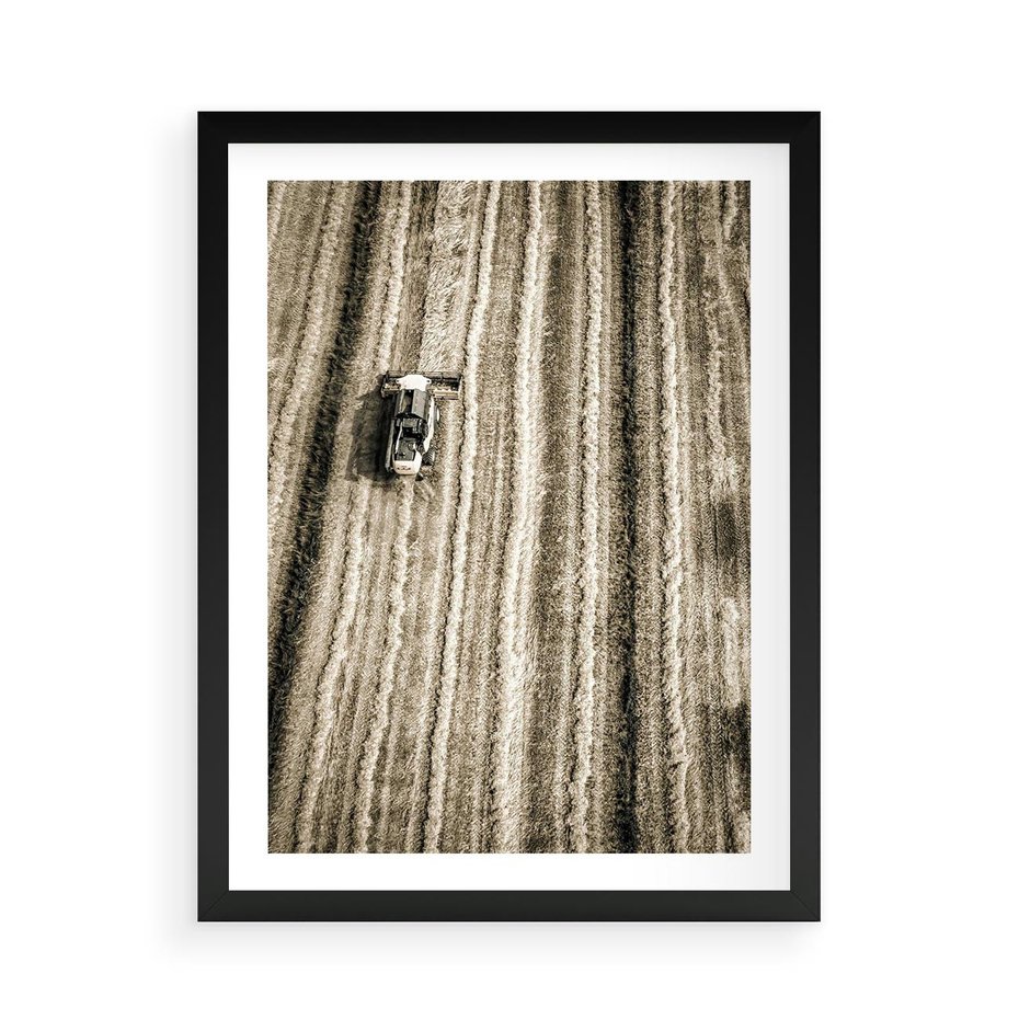 Plakat w ramie 50x70 - Sepia na Polu - kombajn, pole - rama czarna
