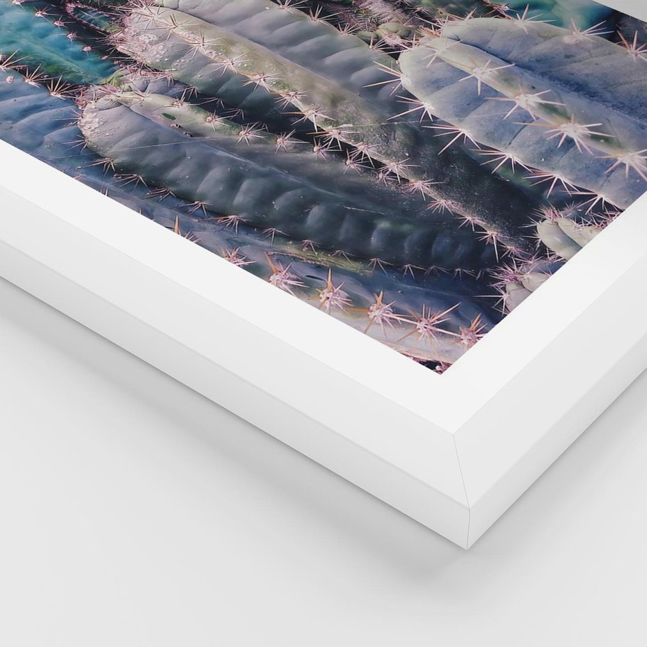 Plakat w ramie 30x40 - Kaktusowy Raj - kaktusy, dużo kaktusów - rama biała