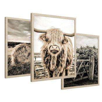 Zestaw obrazy w ramie 50x70 galeria - Bydło, USA, pole - rama drewno