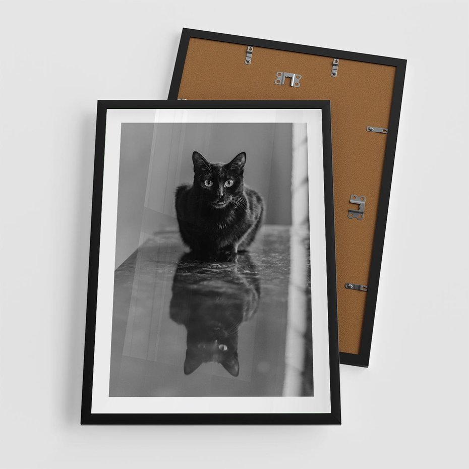 Plakat w ramie 50x70 - Kocie Oczy - kot, czarno białe zdjęcie - rama czarna