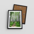Plakat w ramie 30x40 - Bajkowy las pełen brzóz - las, brzozy - rama czarna