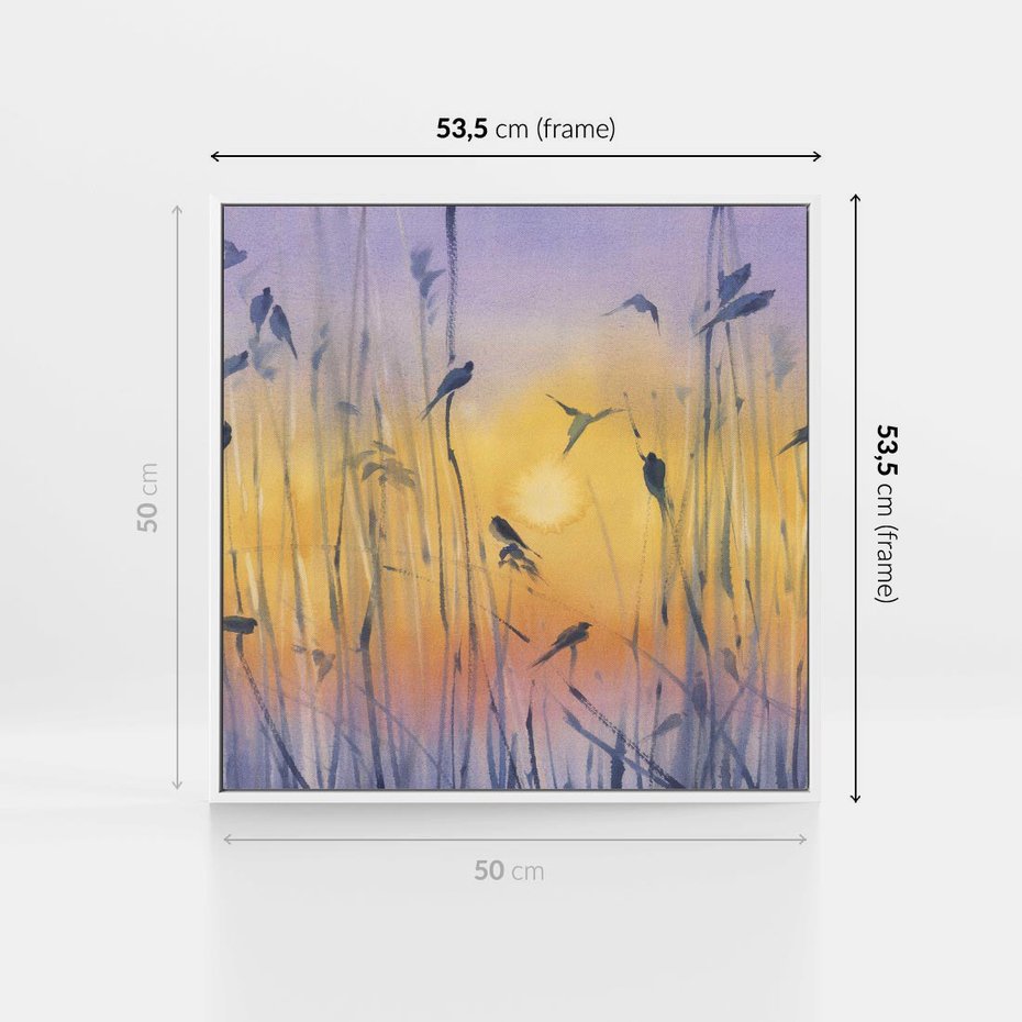 Obraz w ramie 50x50 - Mistyka Poranka nad Szuwaram - wschód słońca w szuwarach, trawy - rama biała