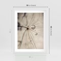Plakat w ramie 30x40 - Makro Uroda: Kropla na Dmuchawcu - zbliżenie makro, kropla wody na ziarenku dmuchawca - rama biała