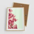 Plakat w ramie 50x70 - Orchidea - delikatne kwiaty - orchidea, kwiaty - rama drewno