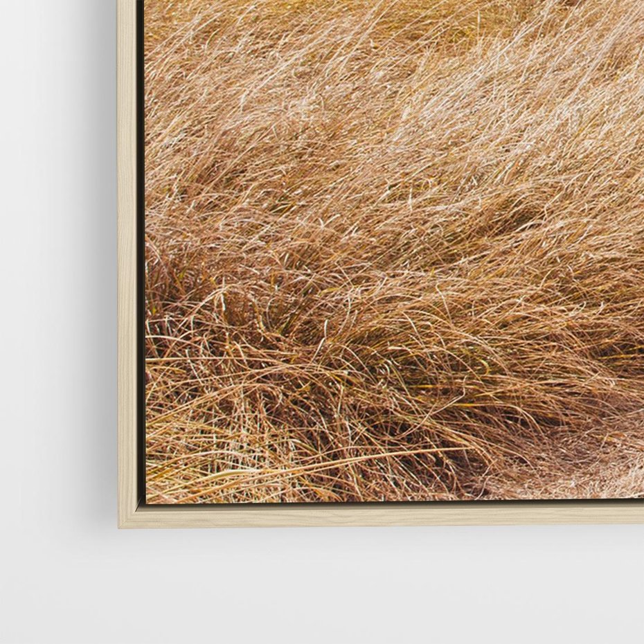 Obraz w ramie 70x50 - Tajemnicza Ścieżka - latarnia morska w oddali, suche trawy - rama drewno