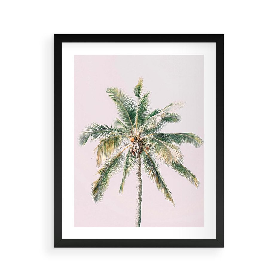 Plakat w ramie 40x50 - Błogość Tropików - palma, tropiki - rama czarna