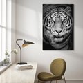 Obraz na płótnie 80x120 - Tygrys Czarno-Biały: Siła i Delikatność - tygrys, czarno