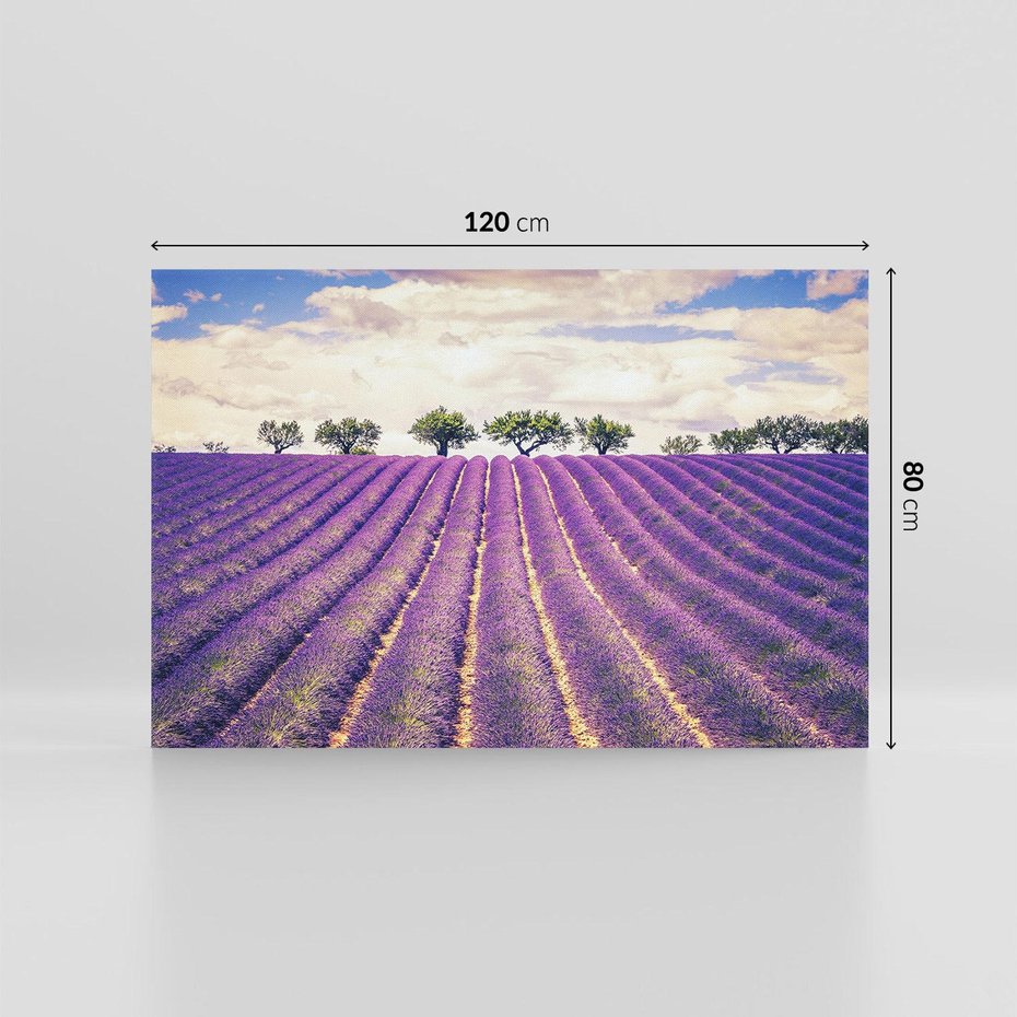 Obraz na płótnie 120x80 - Uroda Lawendy: Kwiatowy Cud Natury - lawenda, kwiaty