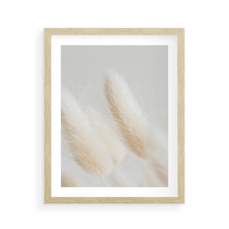 Plakat w ramie 40x50 - Czysty Minimalizm - białe trawy, minimalizm - rama drewno