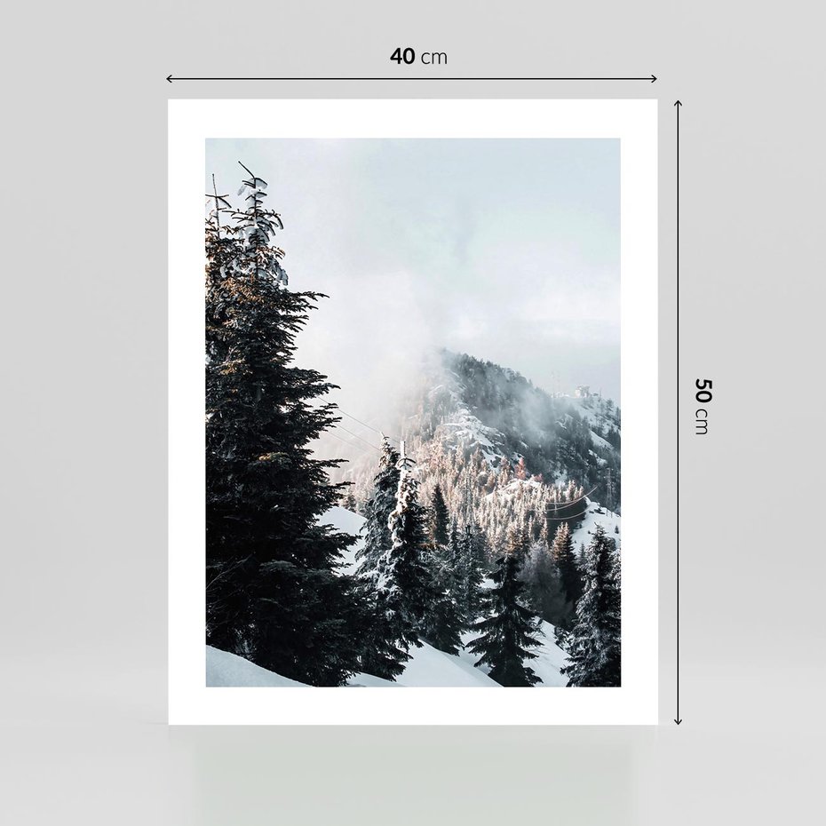 Plakat bez ramy 40x50 - Góry, Las i Śnieg na Obrazie - góry, las