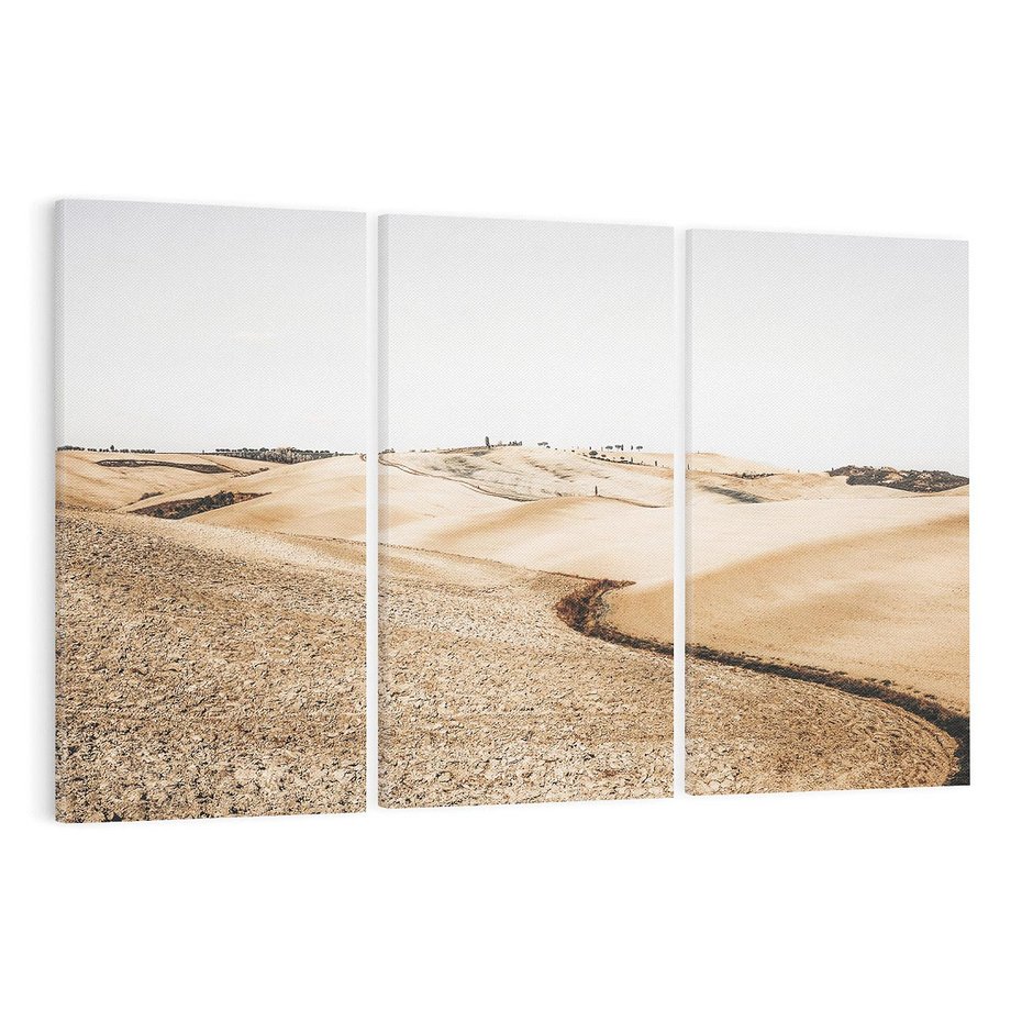 Obraz na płótnie 120x80 - Refleksyjny taniec myśli - pustynny krajobraz, odcienie sepii