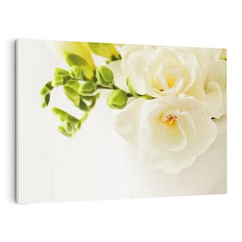 Obraz na płótnie 70x50 - Subtelność białych frezji - frezja, białe