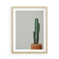 Plakat w ramie 50x70 - Zieleń i Subtelność - kaktusy, liście - rama drewno