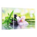 Obraz na płótnie 120x80 - Oaza Spokoju: Bambus, Kwiaty i Kamienie w SPA - bambus, kwiat