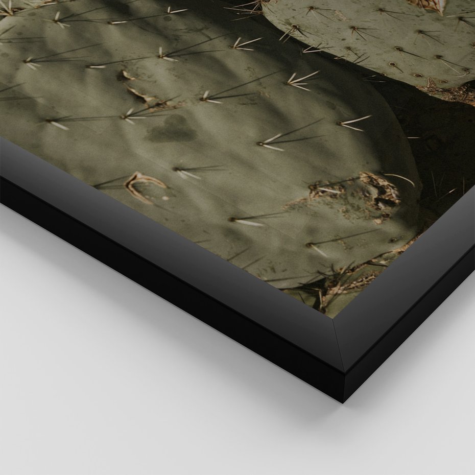 Zestaw obrazy w ramie 30x40 galeria - Kaktusy, sukulenty, opuncja, boho - rama czarna