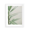 Plakat w ramie 40x50 - Minimalistyczna Tropikalna Harmonia - tropikalna roślina, zielone liście - rama biała