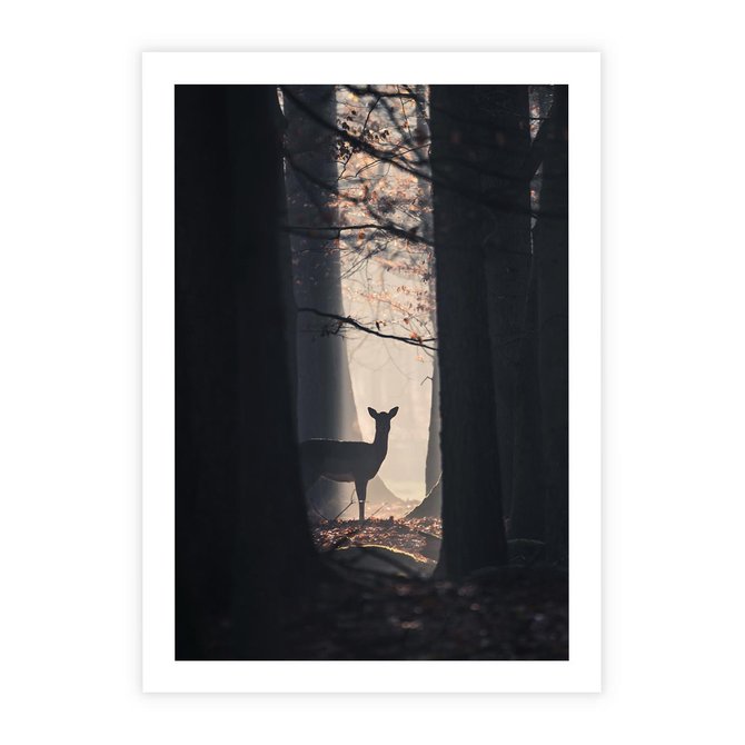 Plakat bez ramy 21x30 - Sarnie Skoki - zdjęcie, klimatyczny las