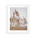 Plakat w ramie 40x50 - Boho Urok - trawy, pampas - rama biała