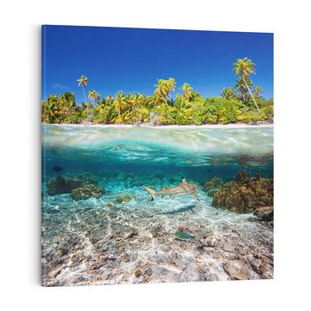 Obraz na płótnie 80x80 - Tropikalne Morze i Kolorowa Rafa - tropikalne, morze