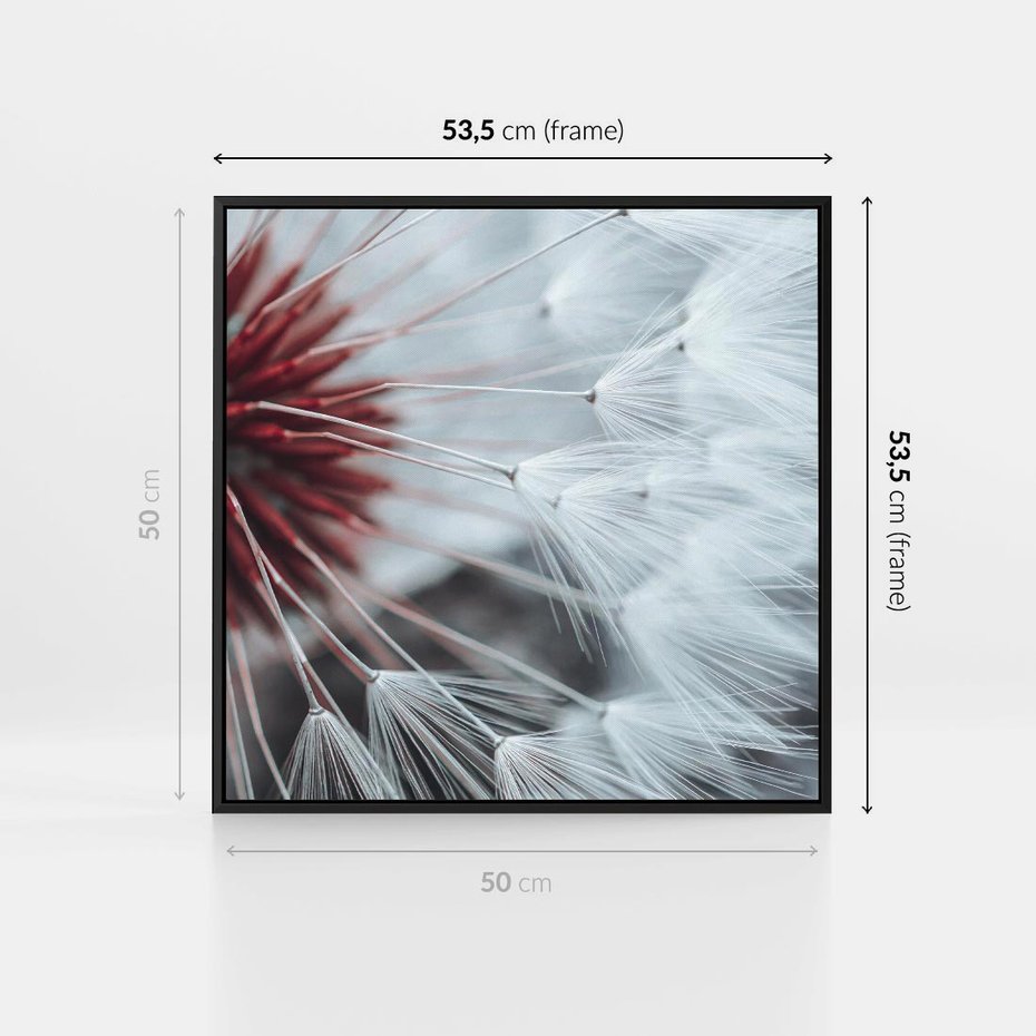 Obraz w ramie 50x50 - Makro świat dmuchawca - dmuchawiec, makro - rama czarna