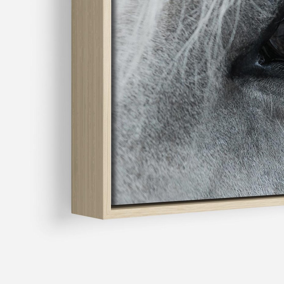 Obraz w ramie 100x70 - Oko Mocy - czarno białe zdjęcie, zbliżenie makro na oko konia - rama drewno