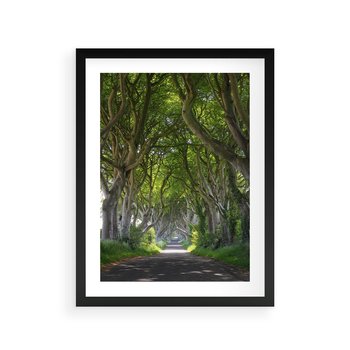 Plakat w ramie 50x70 - Magiczny Las - drzewa, las - rama czarna